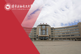 辽宁石油化工大学MPA